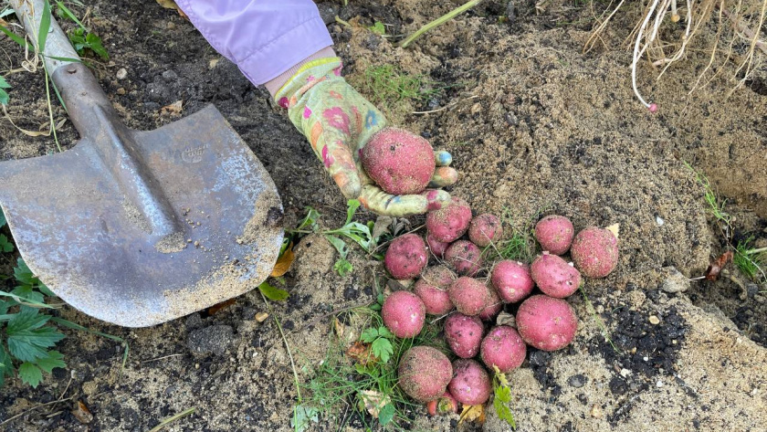    Автор фото - Анна Ефимова