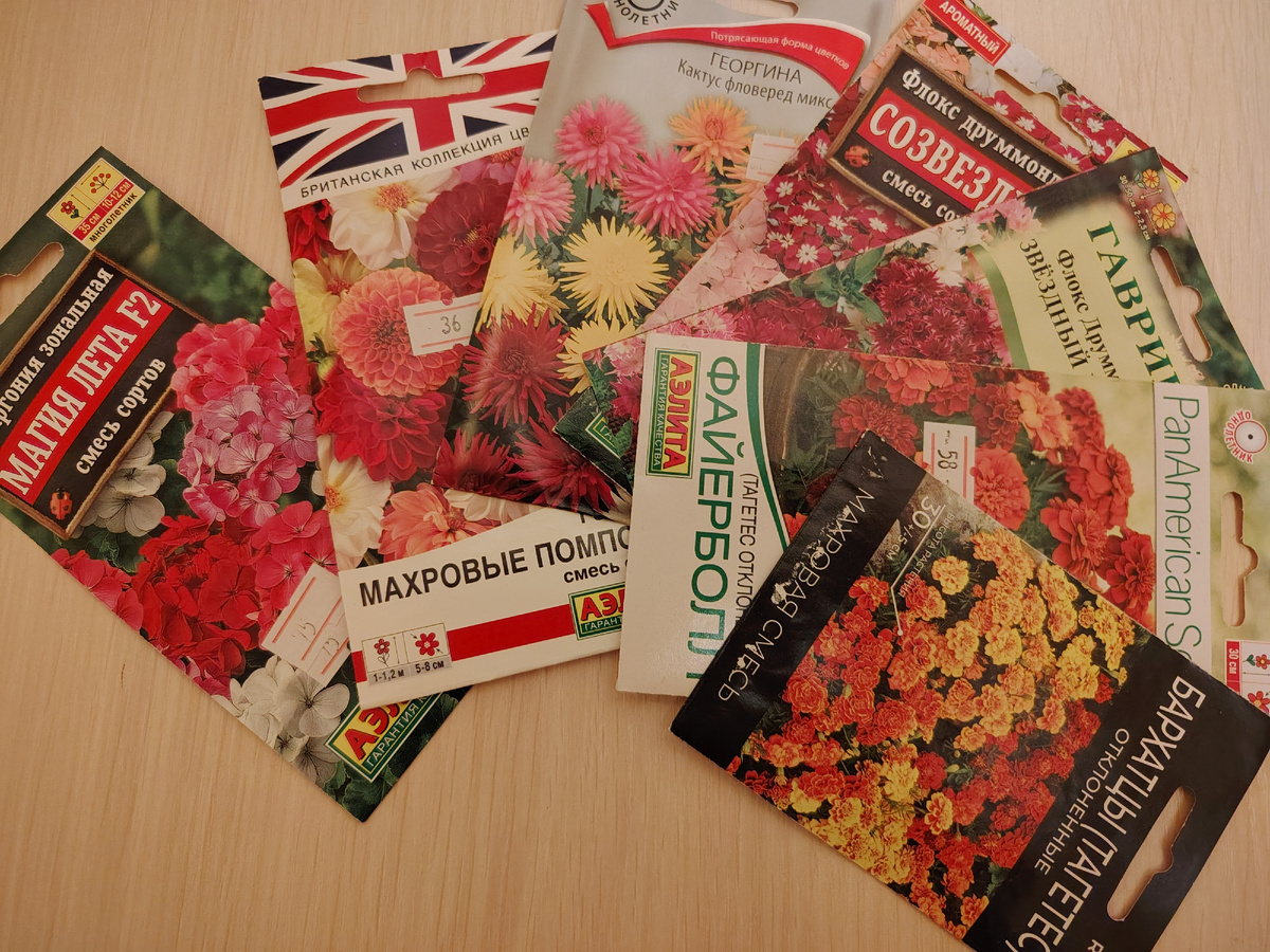 И это не все семена, которые купила. У меня в запасе есть еще и семена астр, настурции и цинии