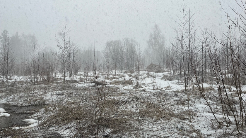    Фото из архива редакции