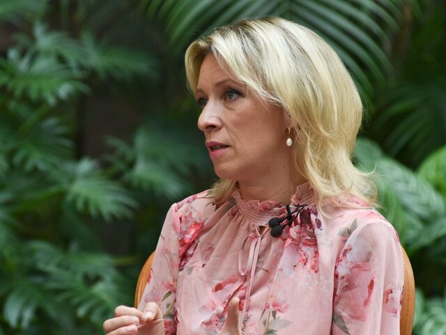    Фото: Москва 24/Никита Симонов