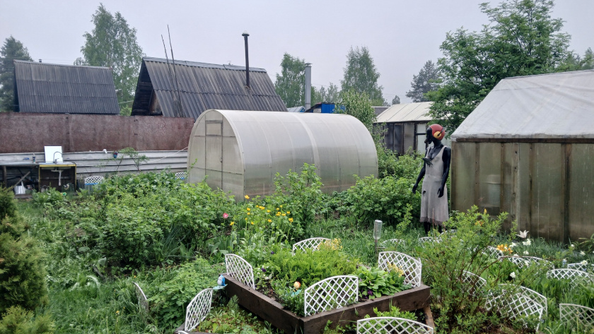    Фото из архива редакции