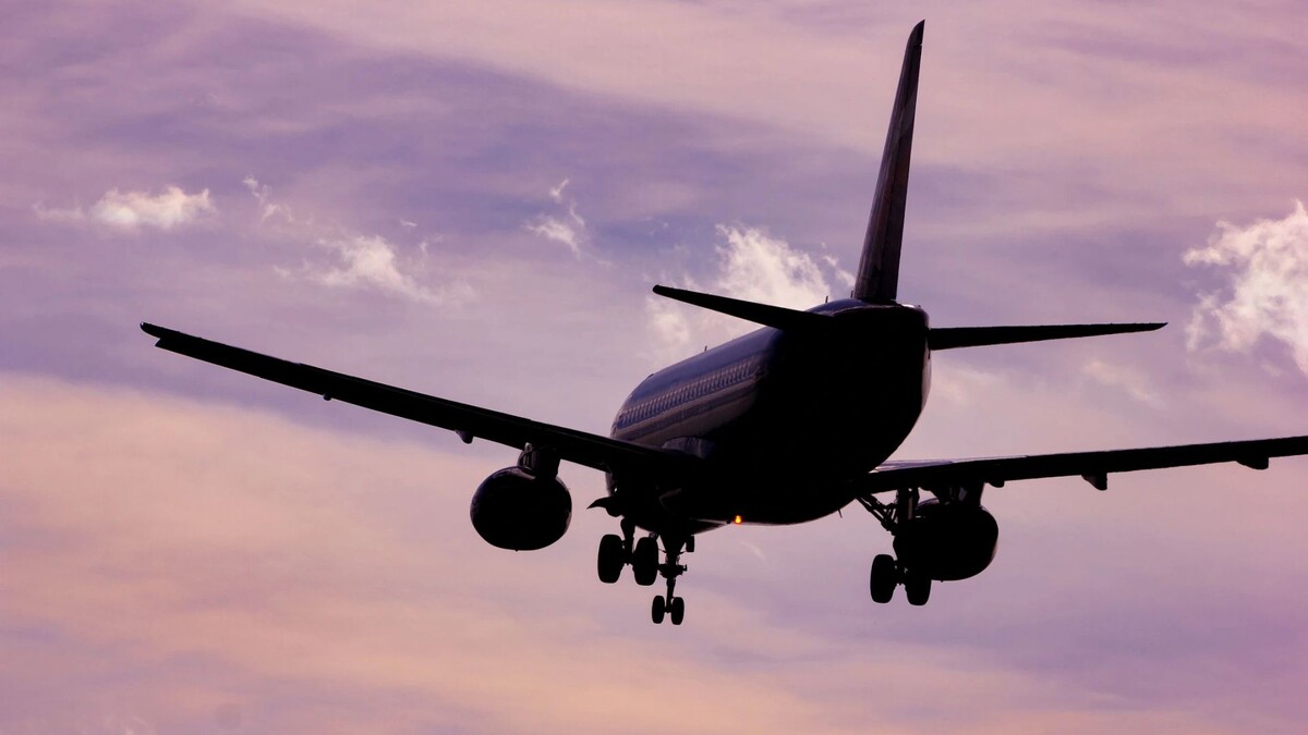    Фото: margo1778/Shutterstock/Fotodom