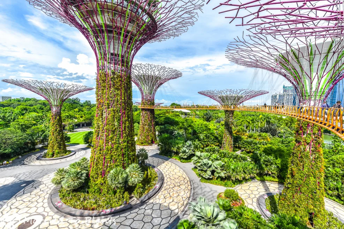 Gardens by the Bay. Источник фото - storage.googleapis.com