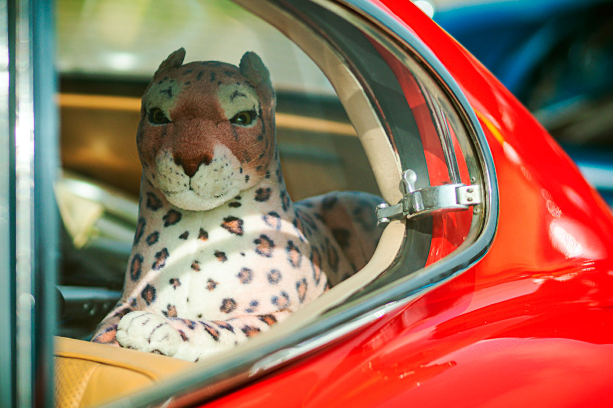 Нарцисс воспринимает людей как объекты, лишённые субъектности, подобно тому как мы смотрим на животных