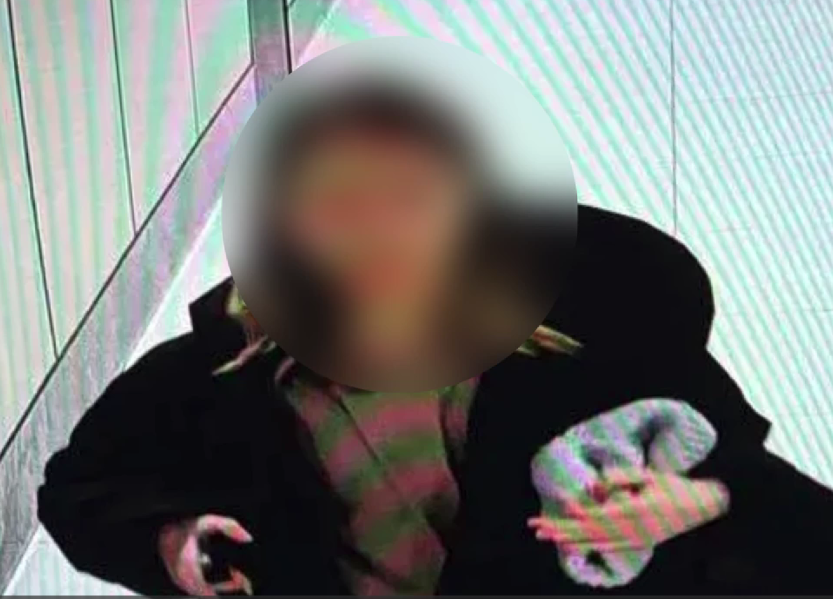     / Источник: © Пресс-служба УМВД России по г. Владивостоку