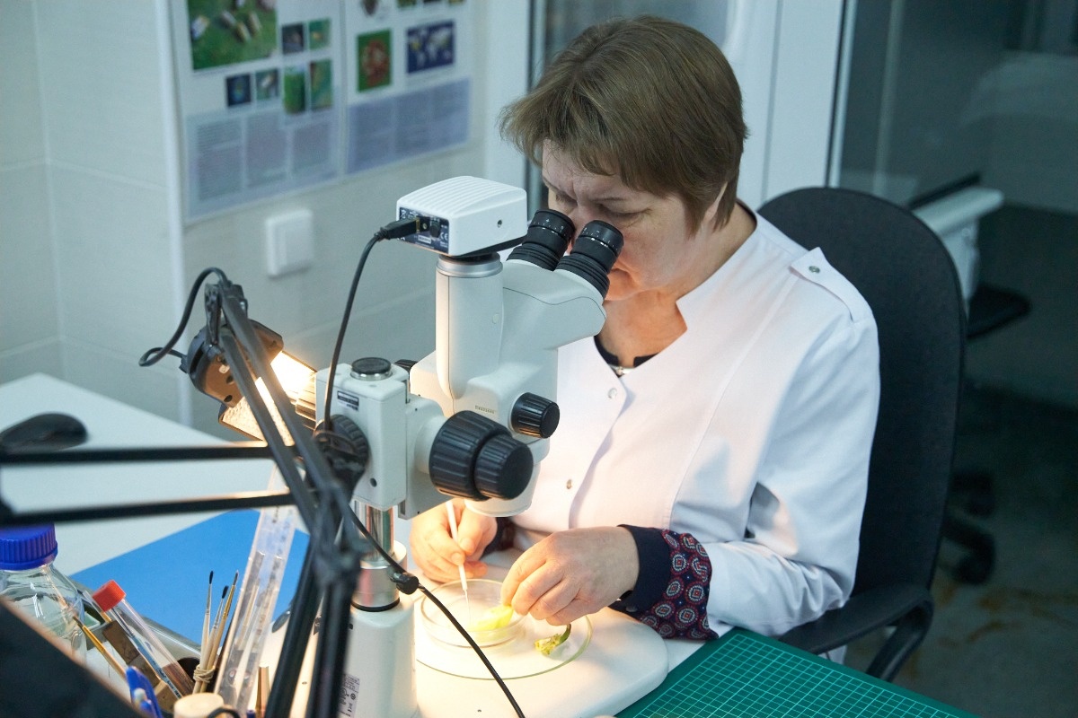    Фото: Лидия Аникина