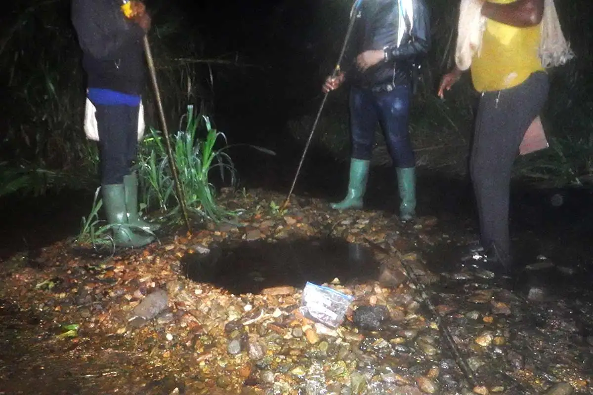 ���-���, ���� ��� ����?