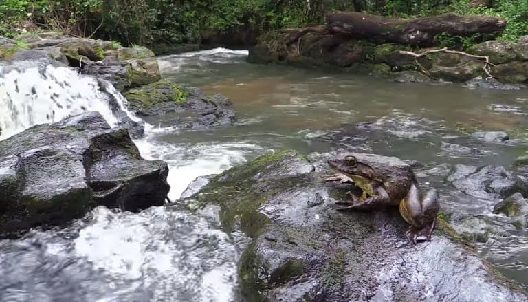 � ����� ��������� ��������!