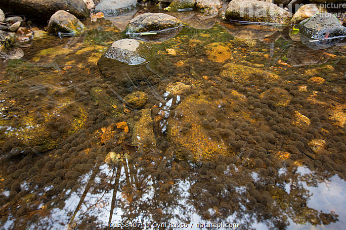 ��� ��� ���������� ������� � ���� �������. � ������ �� ������� � ������ �������������, ��� �� ��� ����� ������.