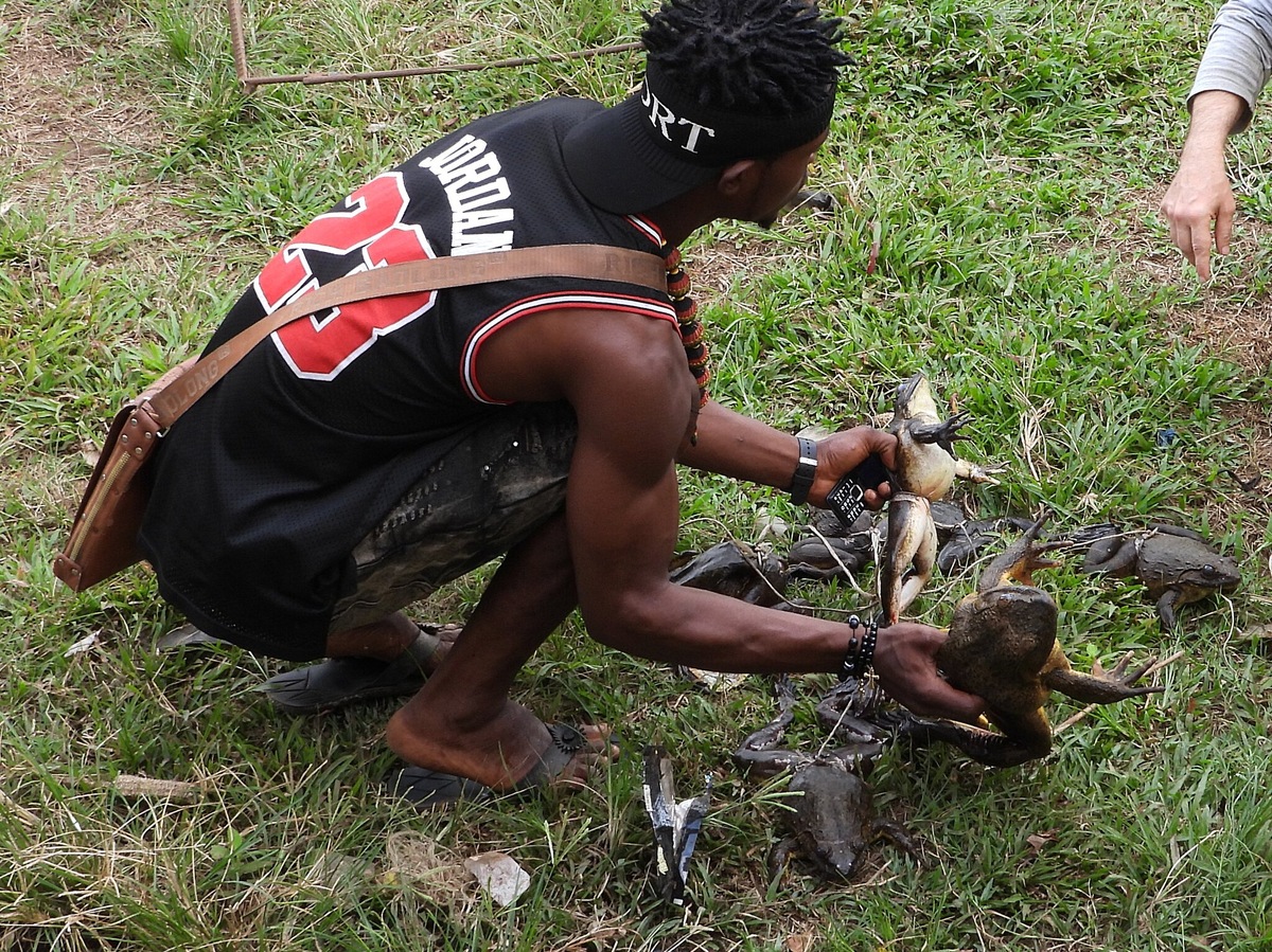 ������� ��������, ������� � ���� �������� � ������� �������. ������ � ��� ���� ������ ��� ��������� ��� ������� ������� ������������.