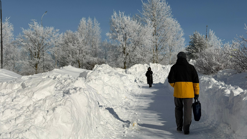    Фото: progorod43.ru