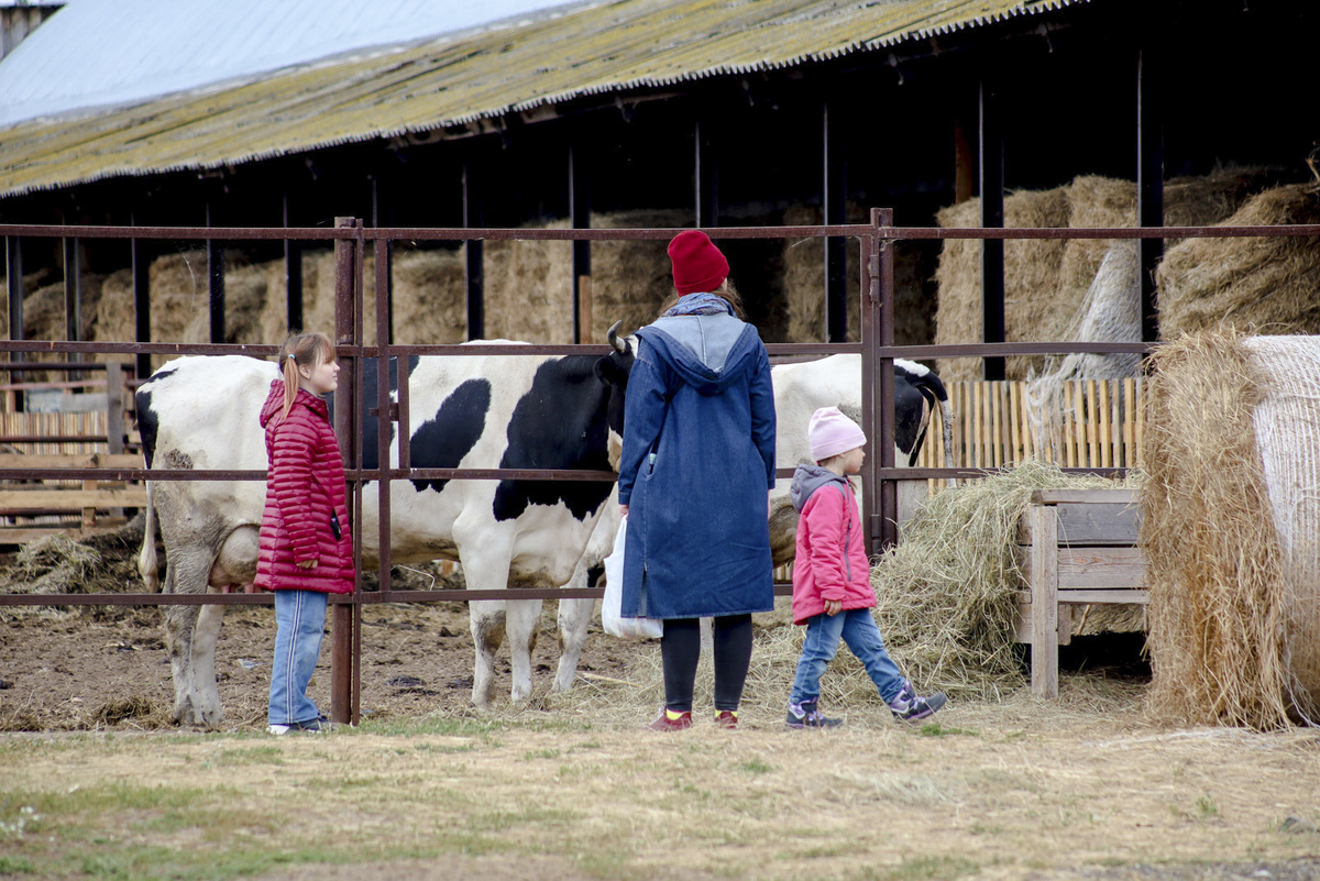 Республика активно участвует в реализации нацпроекта в сфере АПК.  Фото: Елена Майорова