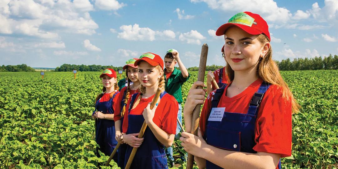 Работа вахтой на сельхозпредприятии: куда поехать и уровень заработной платы