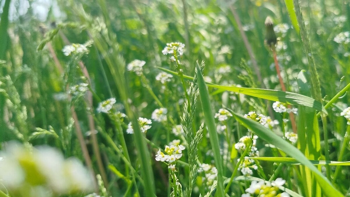    Фото: телеканал «Краснодар»