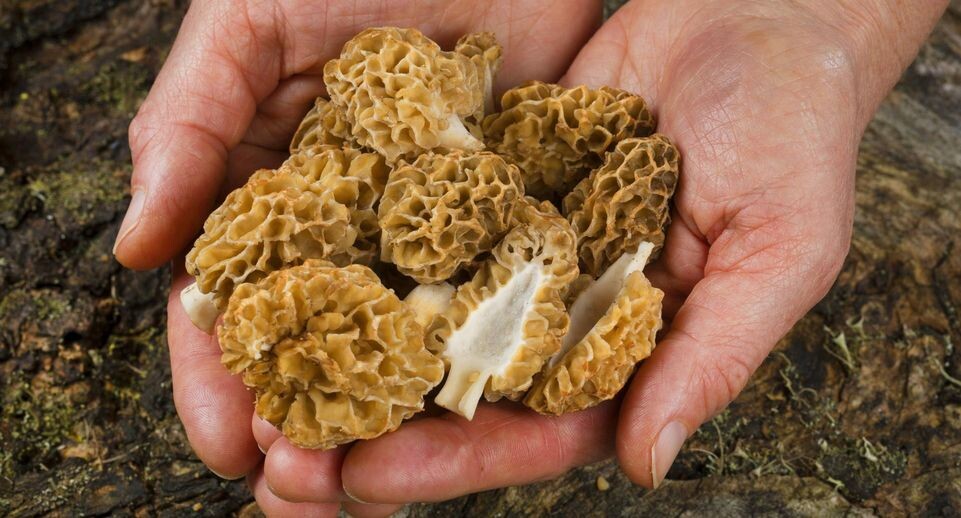    F. Hecker/imago stock&people / www.globallookpress.com