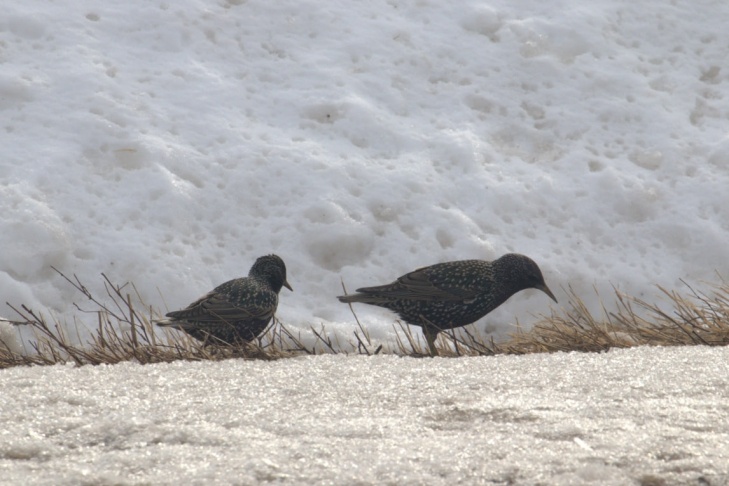 Фото Алексея Маслова