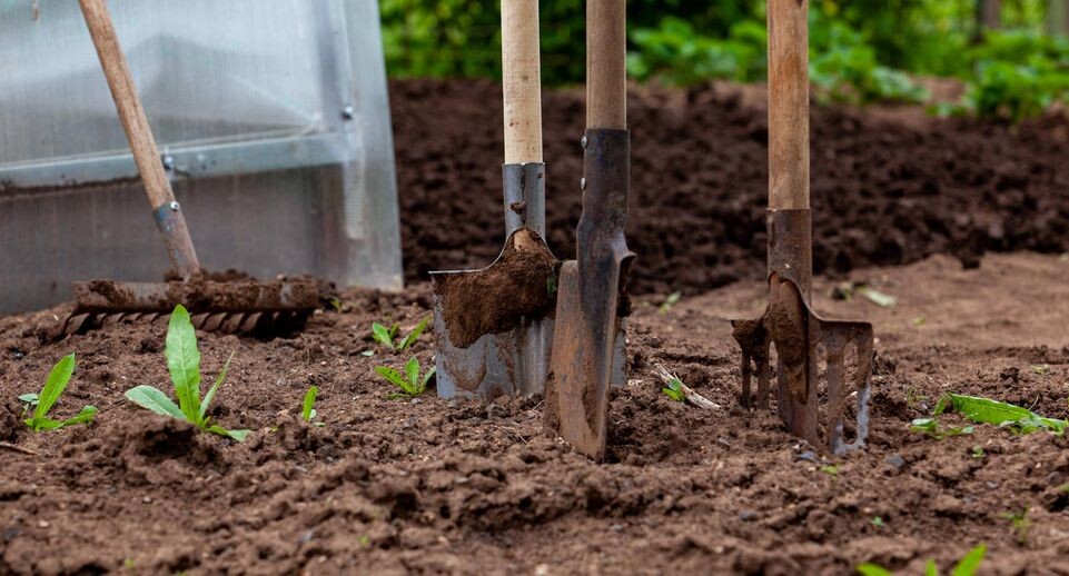    Oksana Korol/Business Online / www.globallookpress.com