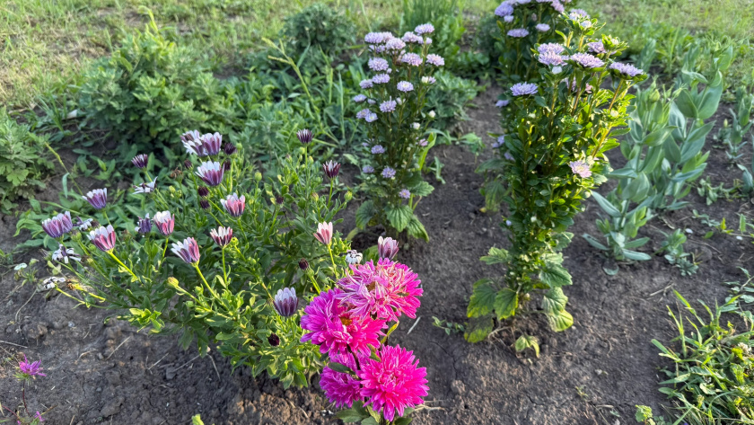    Фото: ПроГород