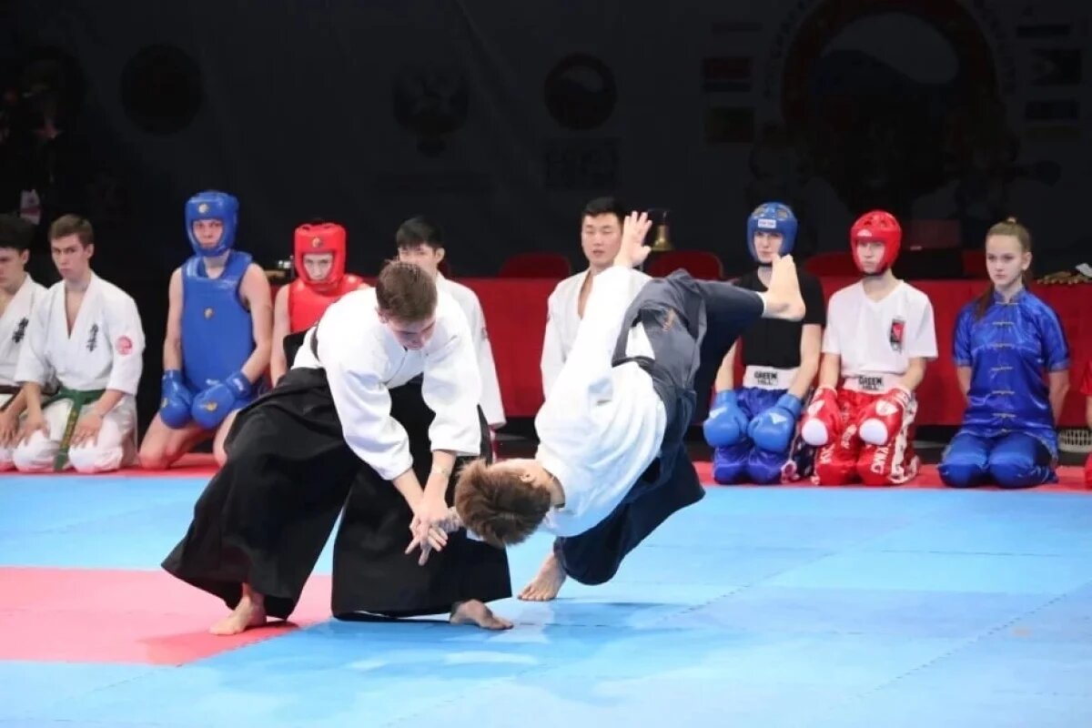    В Хабаровске стартуют юбилейные Игры боевых искусств ДФО