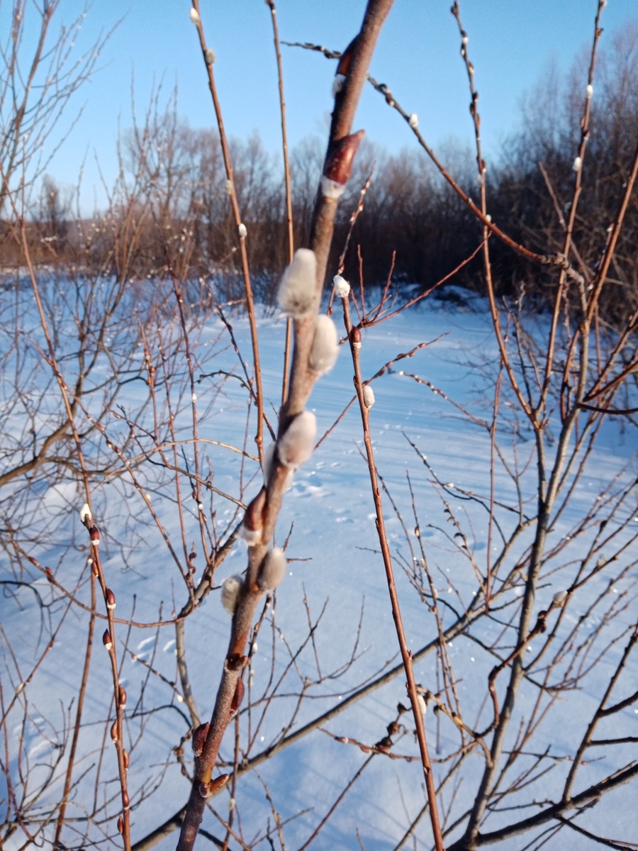     Җепшек кар, яңгыр....