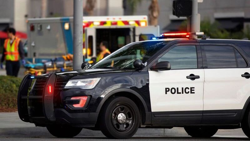    Фото: Matt Gush/Shutterstock/Fotodom