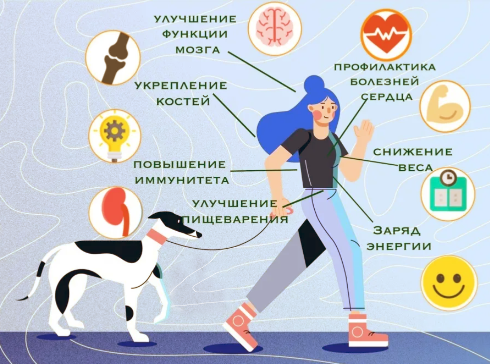 Только польза для организма. Источник изображения: https://clck.ru/3SiRw3