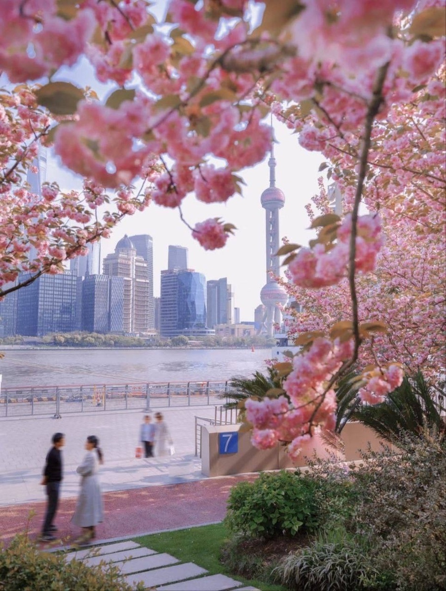 Фото: Xiaohongshu