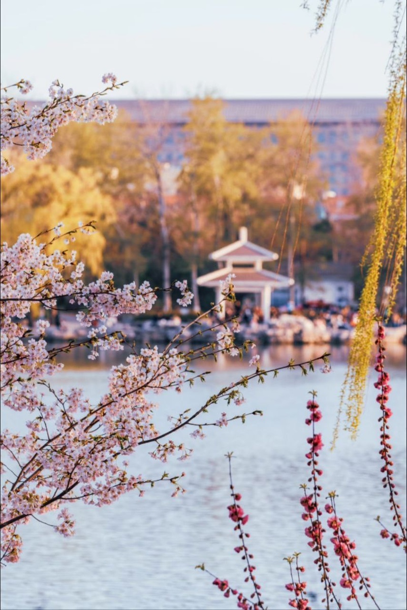 Фото: Xiaohongshu