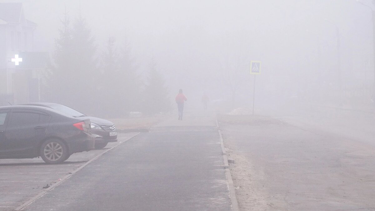    Фото: Сергей Егоров