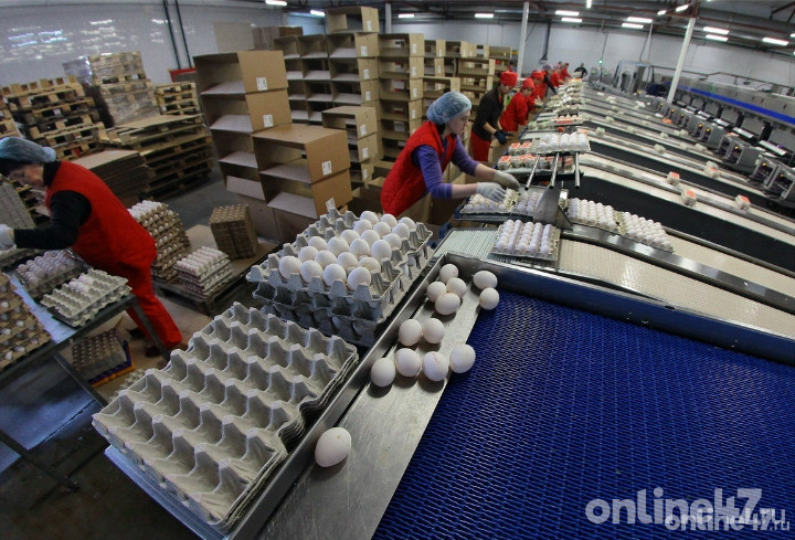 фото: Валентин Илюшин/Online47