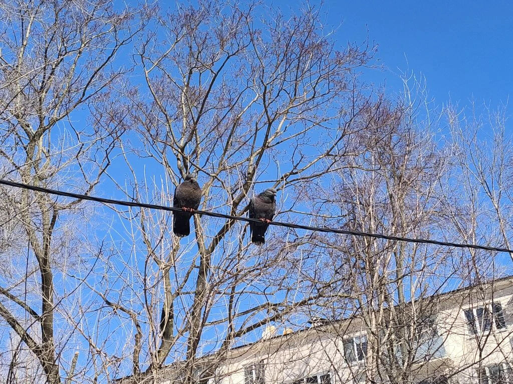     Фото: Евгений МОРОЗОВ