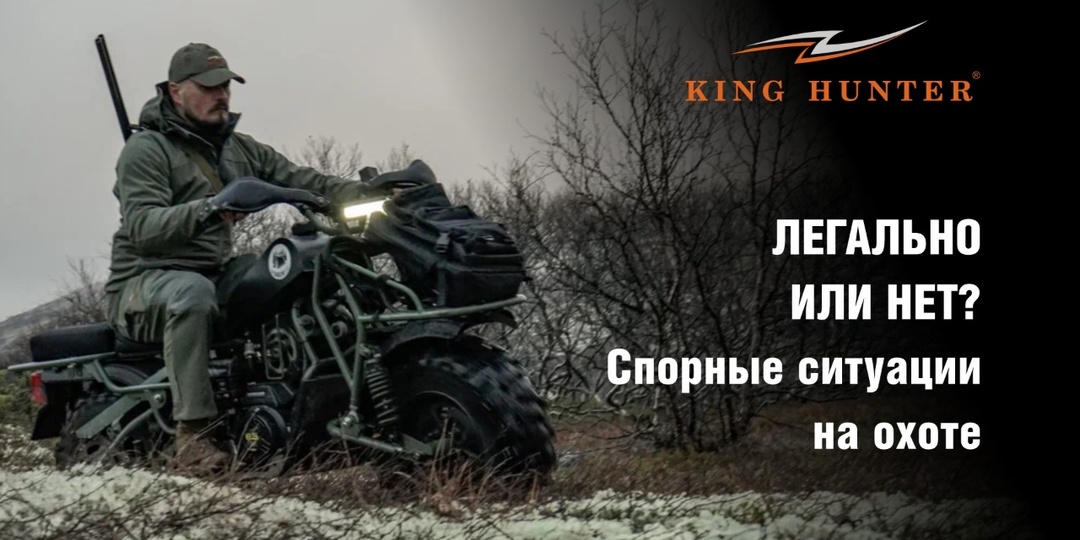 Легально или нет? Спорные ситуации на охоте