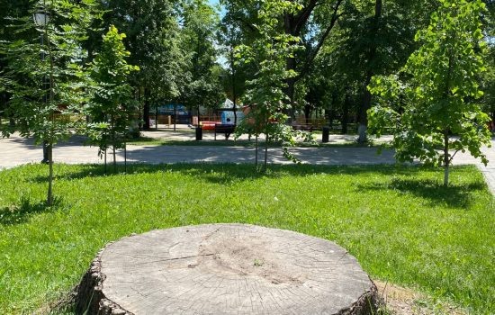    ИА "Орелград"