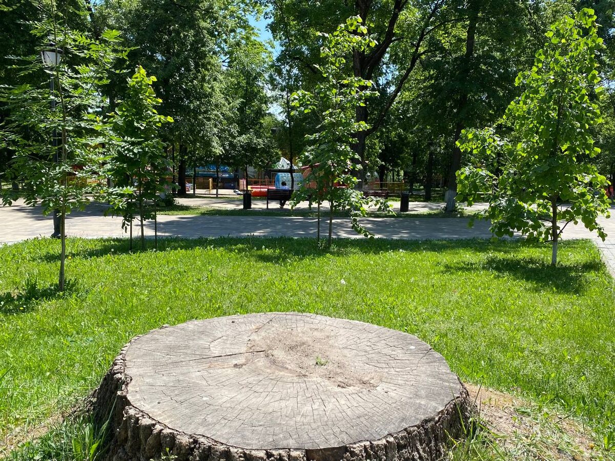    ИА “Орелград”