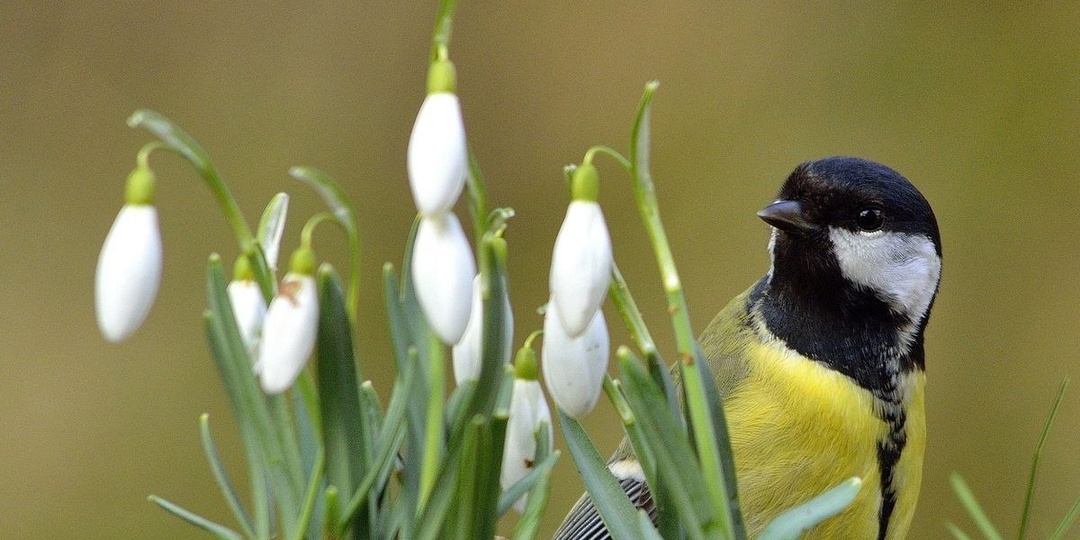 С добрым утром! Весна пришла, слышите, как птицы поют за окном? Хорошего дня