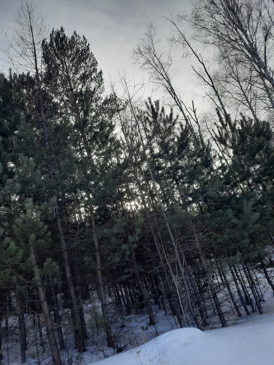 Фото автора.