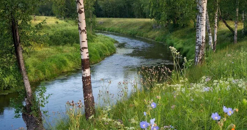 Россия и Беларусь объединяют усилия в цифровизации аккредитации
