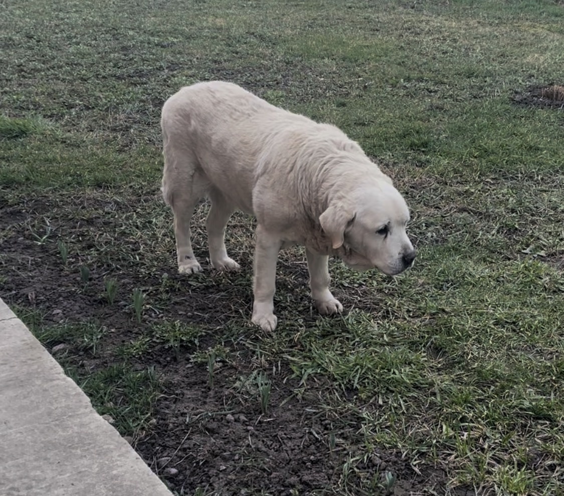 ЛИСТАЕМ ГАЛЕРЕЮ ⏩️