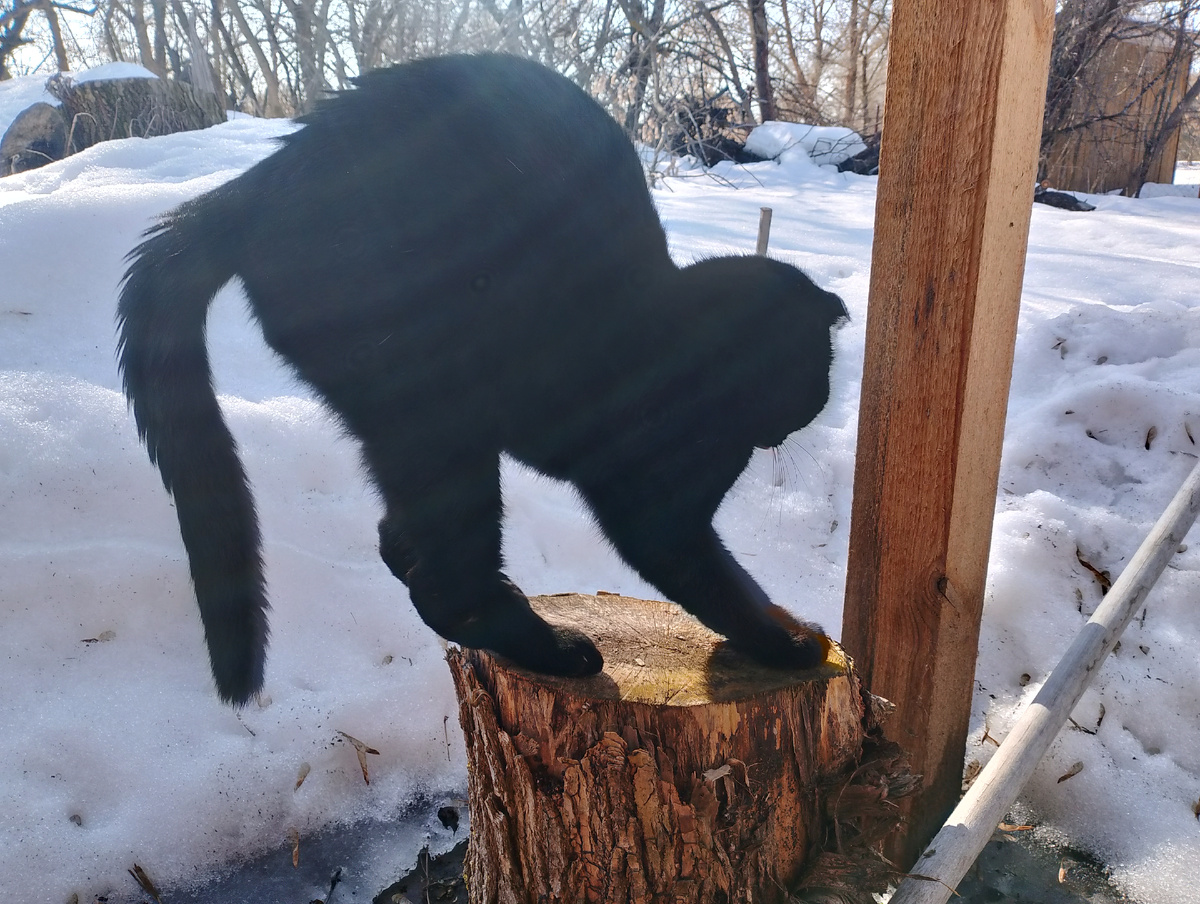 Если кому снег нужен- обращайтесь 😁