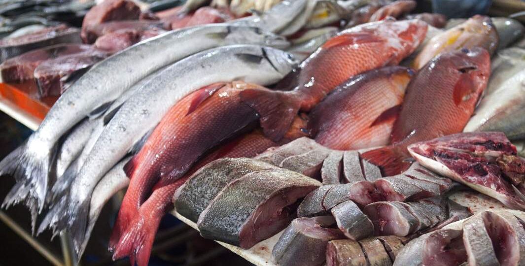 Вредные рыбы в магазине!