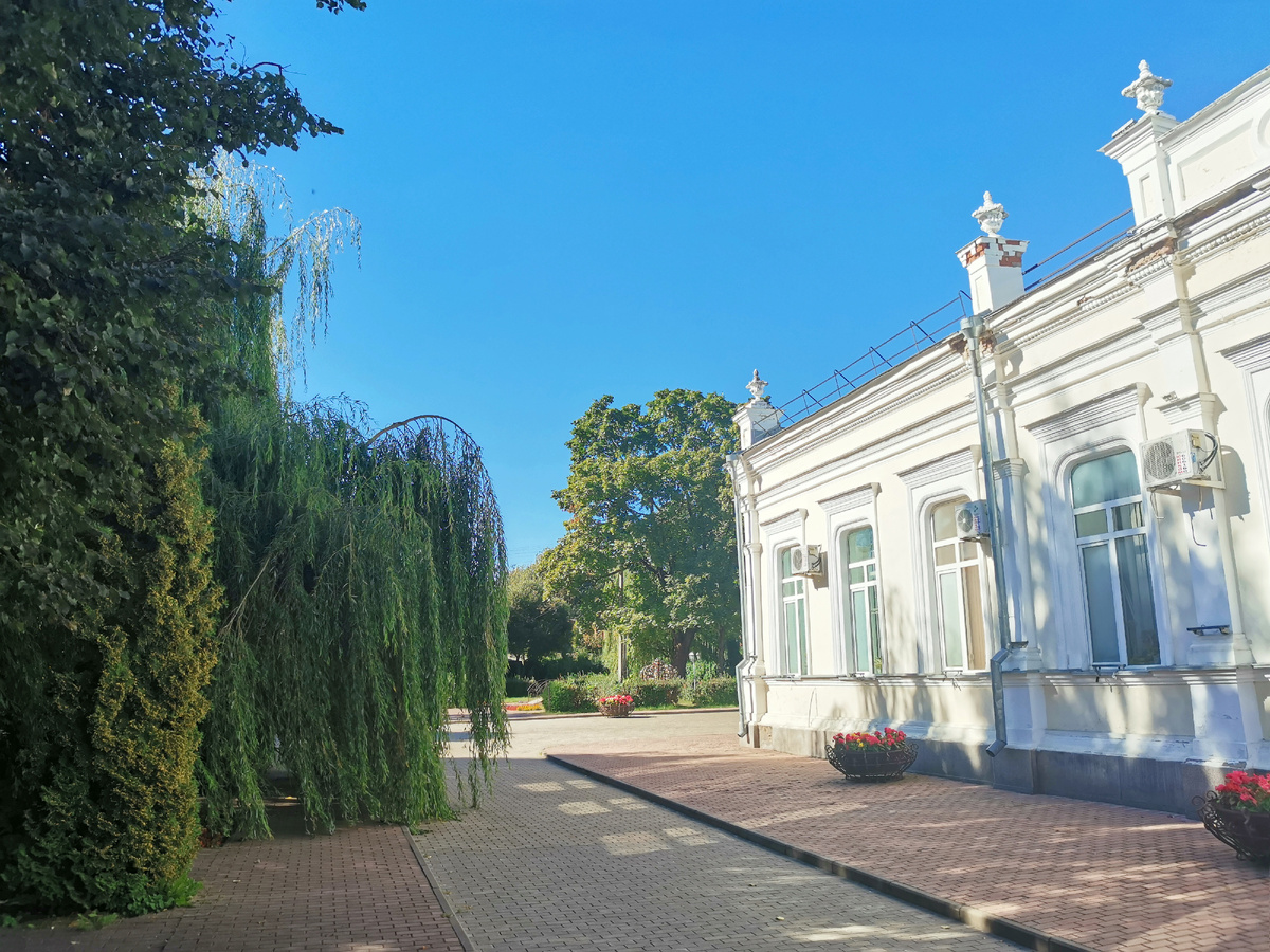 особняк Александра Платоновича Энгельгардта, со двора