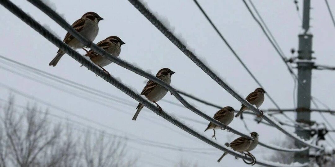 Доброе утро