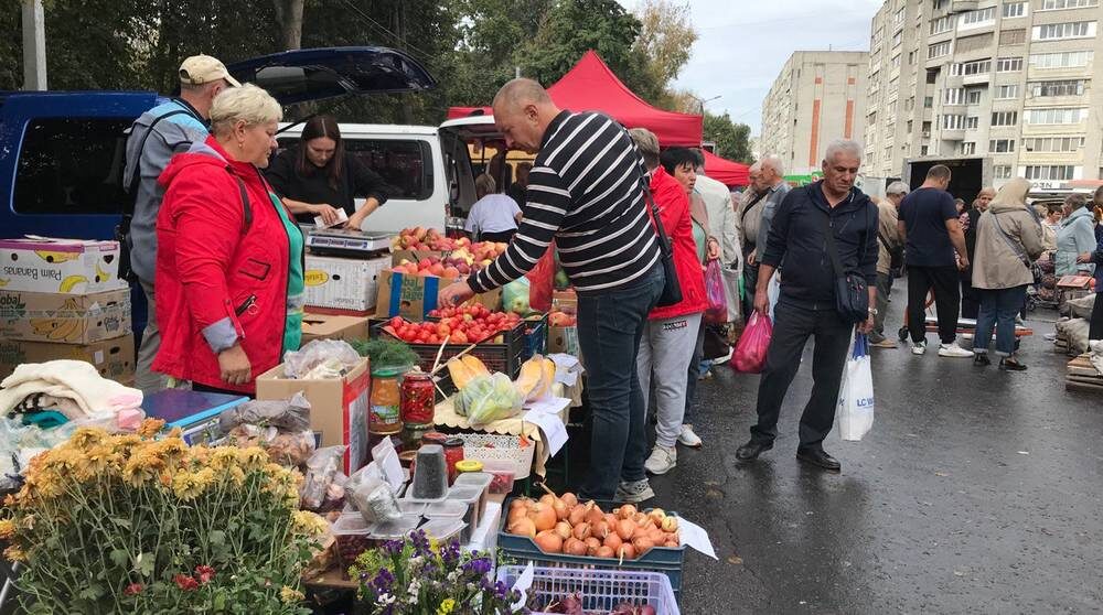    Фото: "Брянские новости"