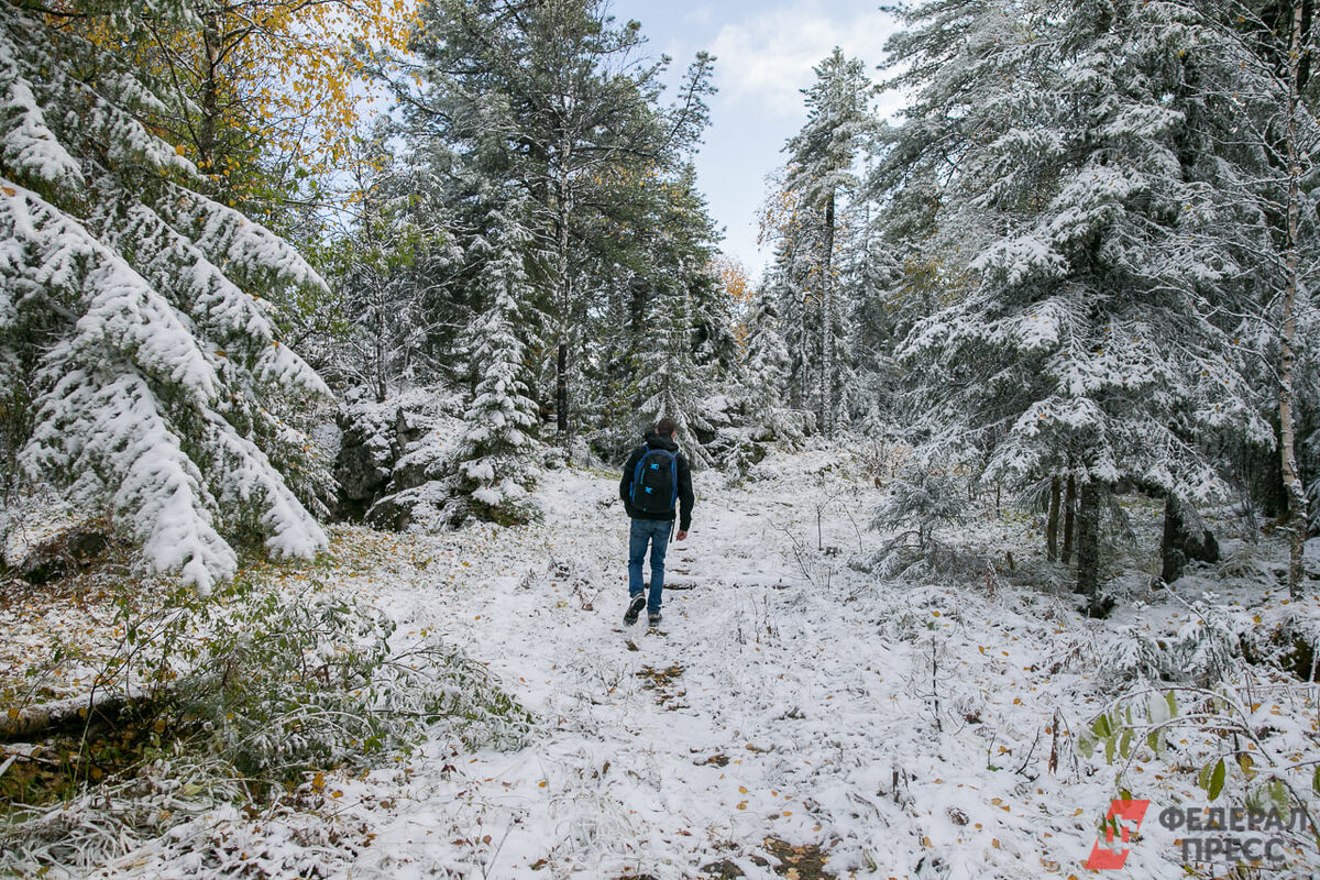 Уголовное дело об исчезновении семьи Усольцевых до сих не закрыто.  Фото: ФедералПресс / Евгений Проторочин