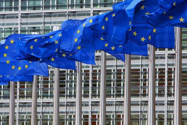    Источник: lenta.ru/ Анна Сычева