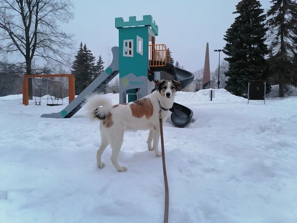 Фото автора