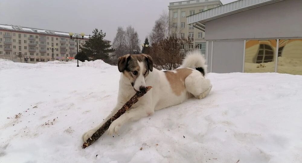 Новости от блогера Жули