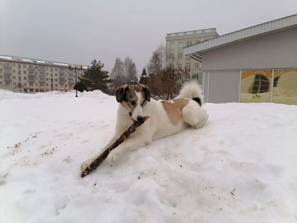 Фото автора