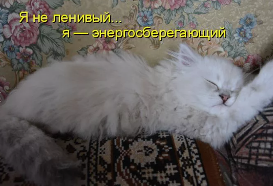 картинка из свободного доступа