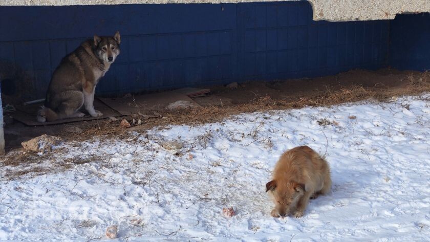    Фото "Про Город"